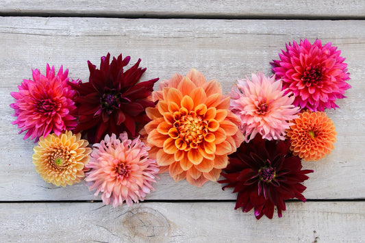 Bouquet Subscriptions