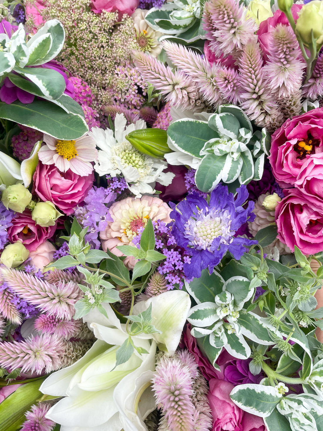 Premium July Bouquet Subscription