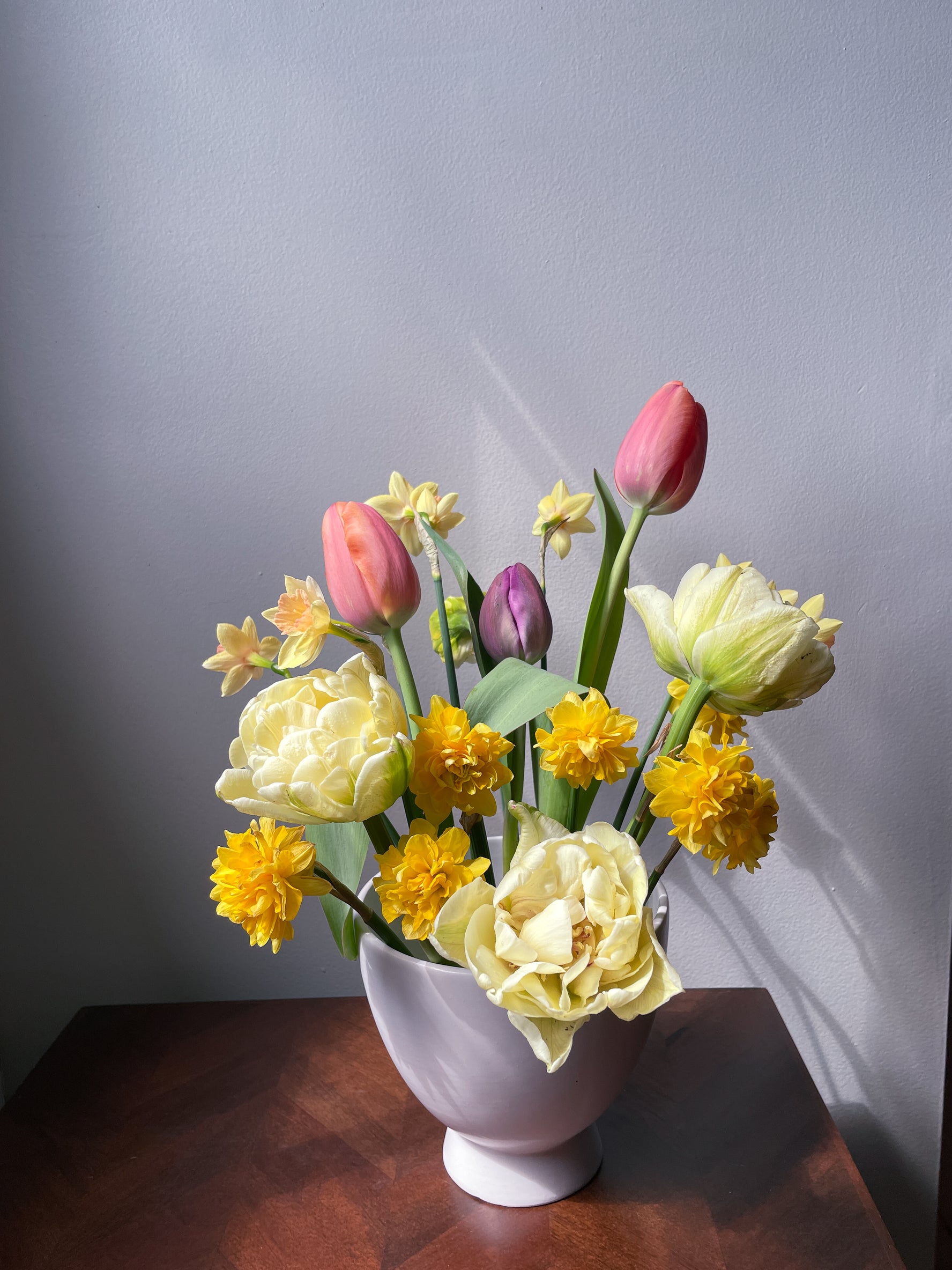 Tulip Bulbs Mount Tacoma Double