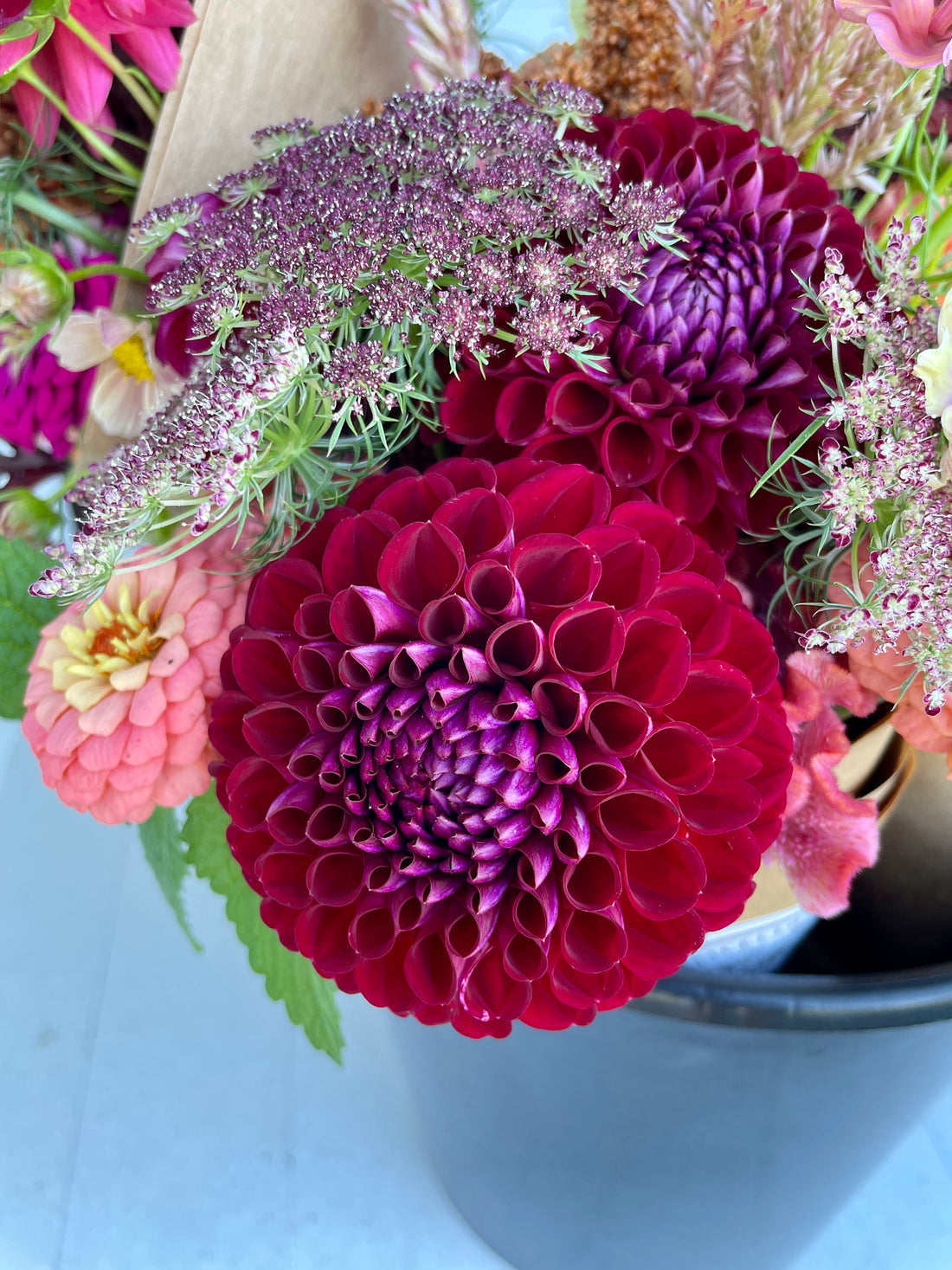 Ivanetti Dahlia Tuber