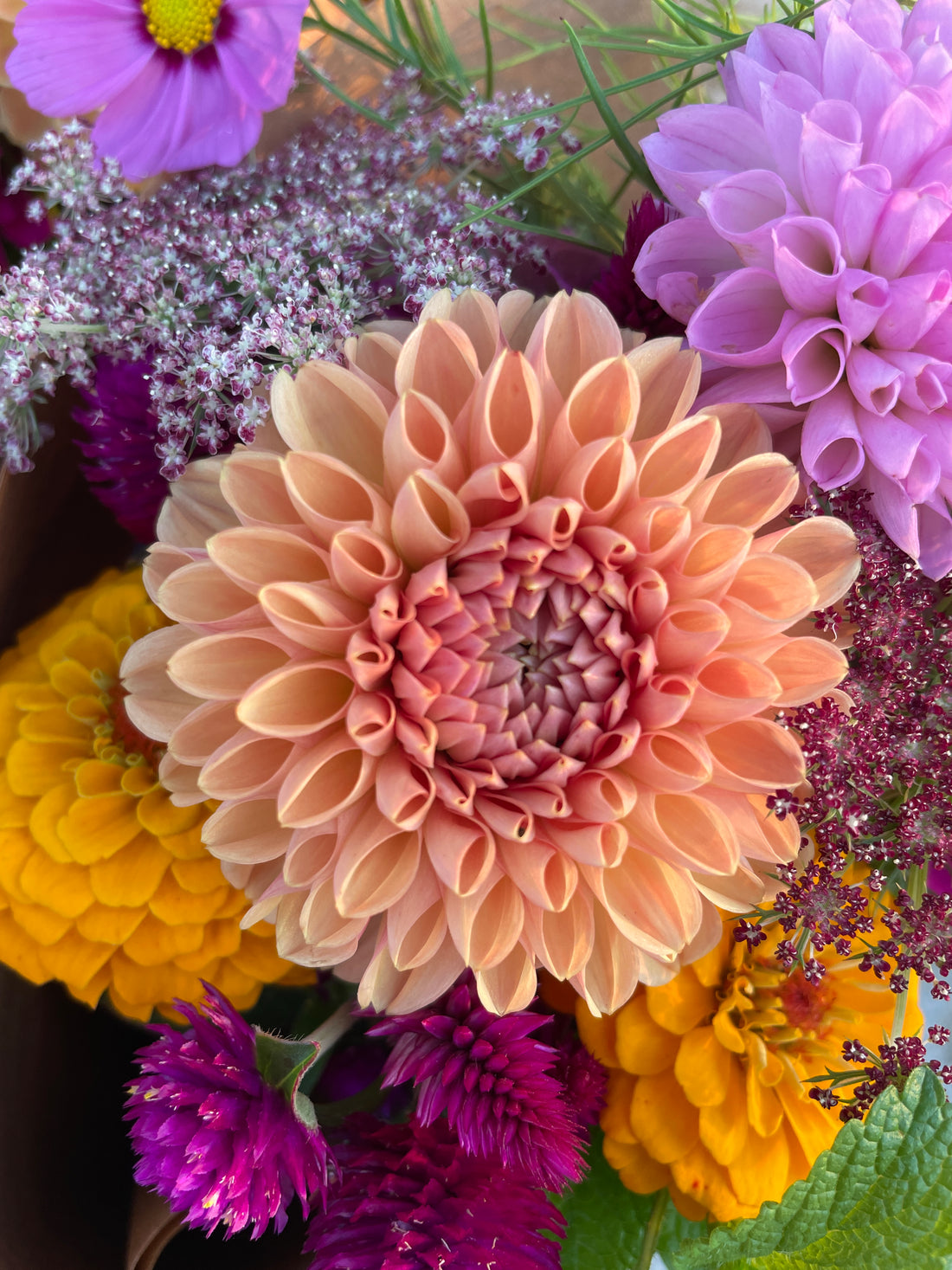 Valley Tawny Dahlia Tuber